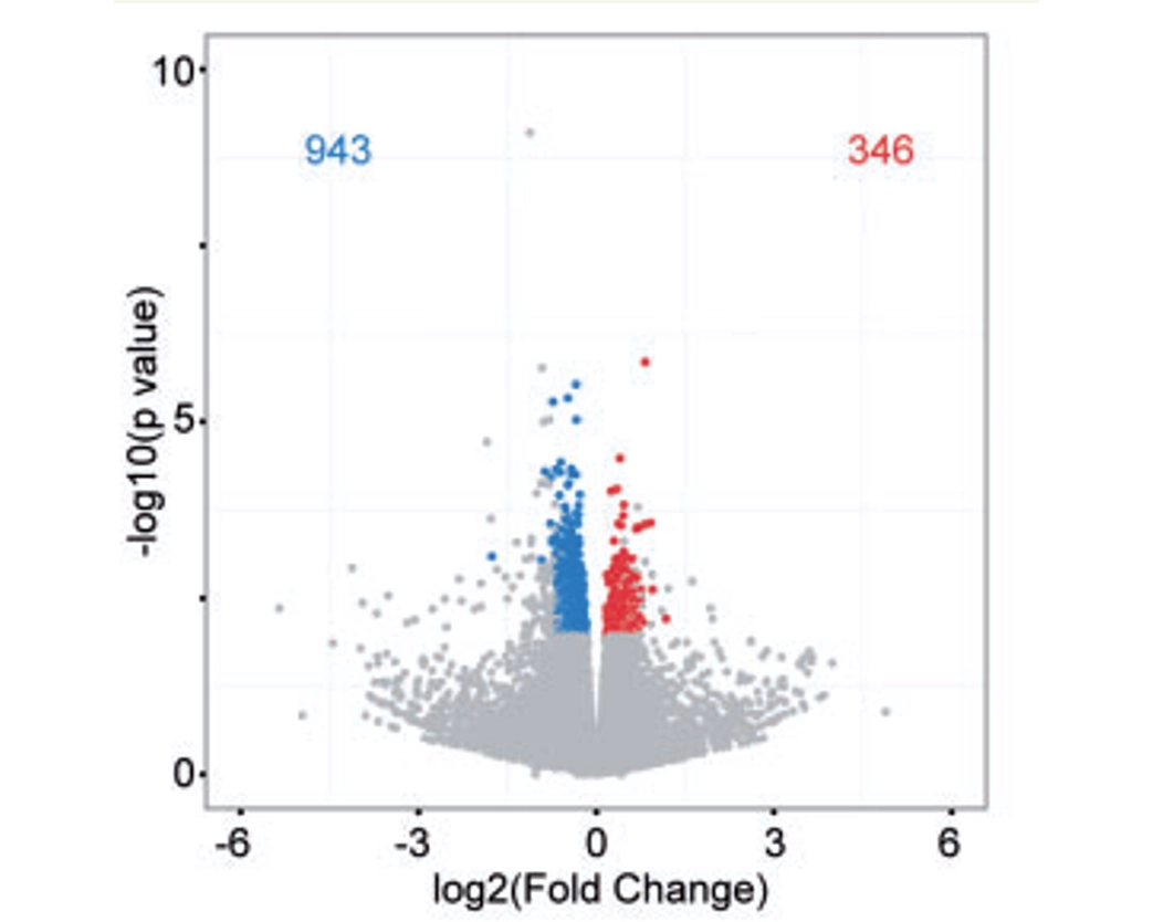 altered gene expression in mutant fus model at early disease stage